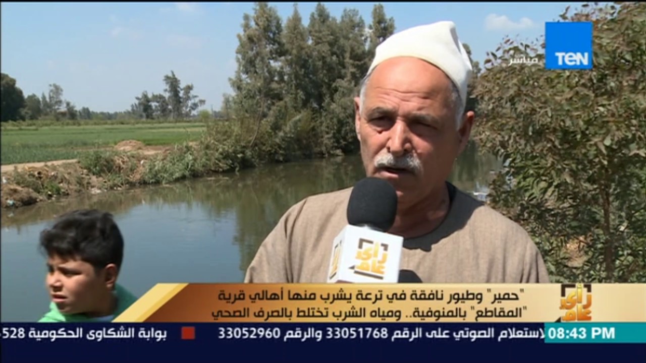 حمير وطيور نافقة في ترعة يشرب منها أهالي قرية المقاطع بالمنوفية وأختلاط مياه الصرف بالشرب