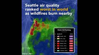 Seattle Air Quality Ranked Worst in World as Wildfires Burn Nearby