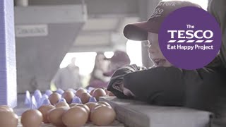 About Farm to Fork