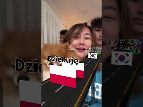 Thank you in your language part 2 #game #language e