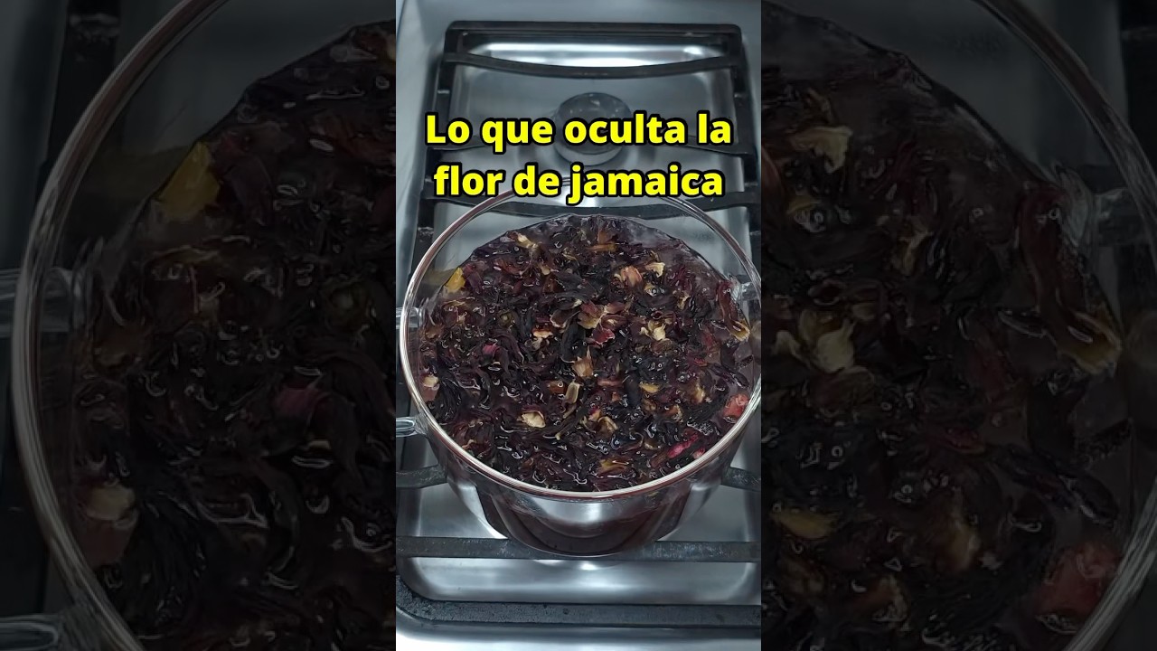 Flor de jamaica: lo que pocos saben y cómo aprovecharla