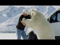 go-anywhere-trailer_AI