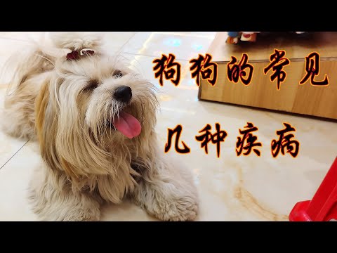 #狗狗最常見的幾種疾病，#新手養狗的朋友們一定要知道預防及治療，平時的注意會讓寵主們省去很多不必要的花費。#狗 #寵物 #萌寵 #狗狗 #狗狗常见疾病及预防