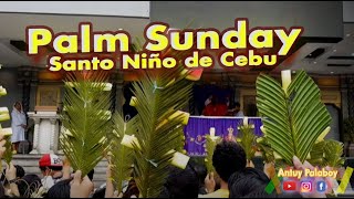 Palm Sunday In Cebu 2019 Antuy Palaboy