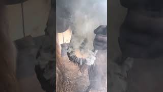 Who Can Smell This 🔥 #Farrier #Satisfying #Asmr #Oddlysatisfying #Horse #Horseshoe #Tiktok