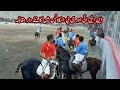 Gilgit baltistan free style polo tournament match nli vs gb scouts complete match full