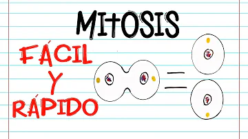 ¿Cuál es la función de la mitosis ejemplos?