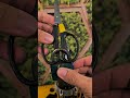 No one told you this trick with scissors ...#LifeHack #DIY #TipsAndTricks ✂️🔧