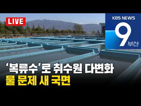 [<strong>LIVE</strong>] KBS 뉴스9 <strong>부산</strong> - 2026.08.10(월)