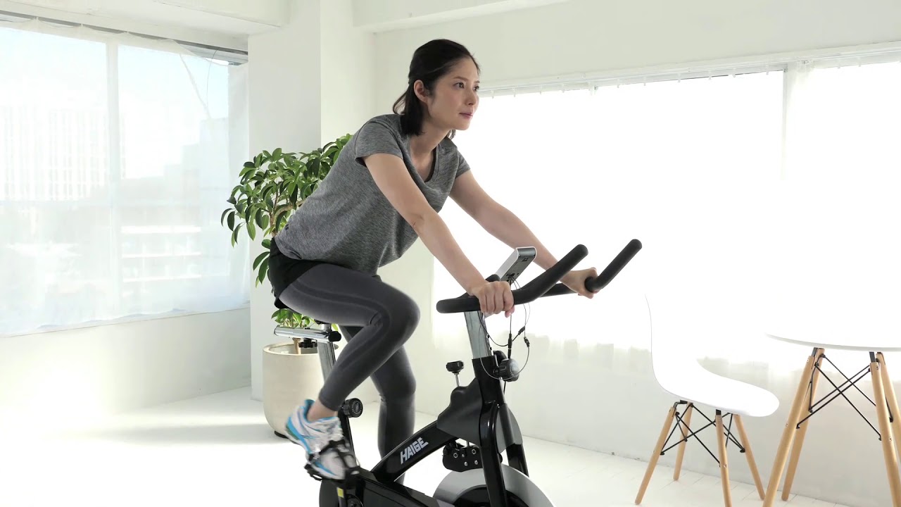 有酸素運動ハイガー スピンバイク フィットネスバイク ダイエット 有酸素運動 直接取引可能