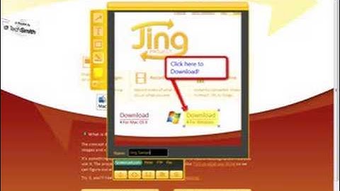 The Jing project- a free screen capture program.