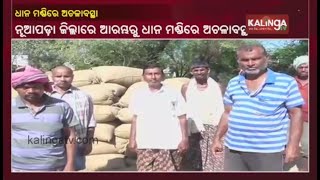 Farmers In Nuapada Complain About Government Token System || Kalinga TV