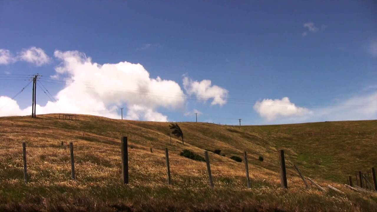 MODWHEEL Sample Libraries Music Promo - Wind Grass