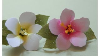 Paper Cherry Blossom Flower Tutorial
