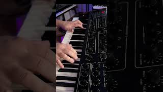 Sequential Prophet-600: The Strings Brass Pad #Vintage #Synth #Prophet #patch