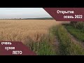 Открытие 2022 осень