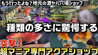 I went to the rumored super-general aquarium shop in Kumamoto