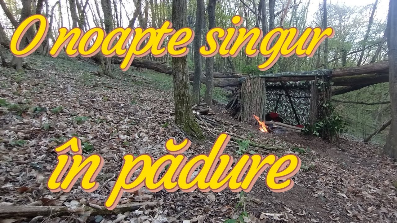 Am supraviețuit..o Zi și o noapte în pădurea minunată