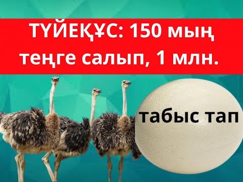 Бейне: Неліктен лизин мен треонин трансаминденбейді?