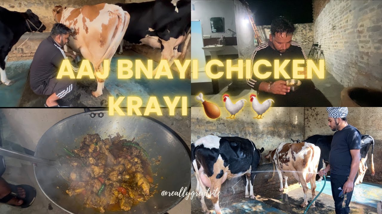 Aaj bnayi chicken kadhayi 🐓🍗| chache layiya ronka 😂| Jaskaranmangatvlogs 🌸