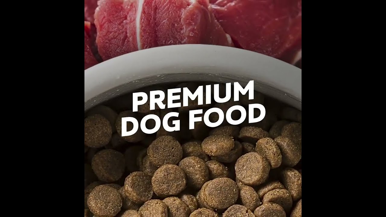 Taste of The Wild Dog Food Review | Quick Review | Dubai | Trio Pet Care | Online Pet Store