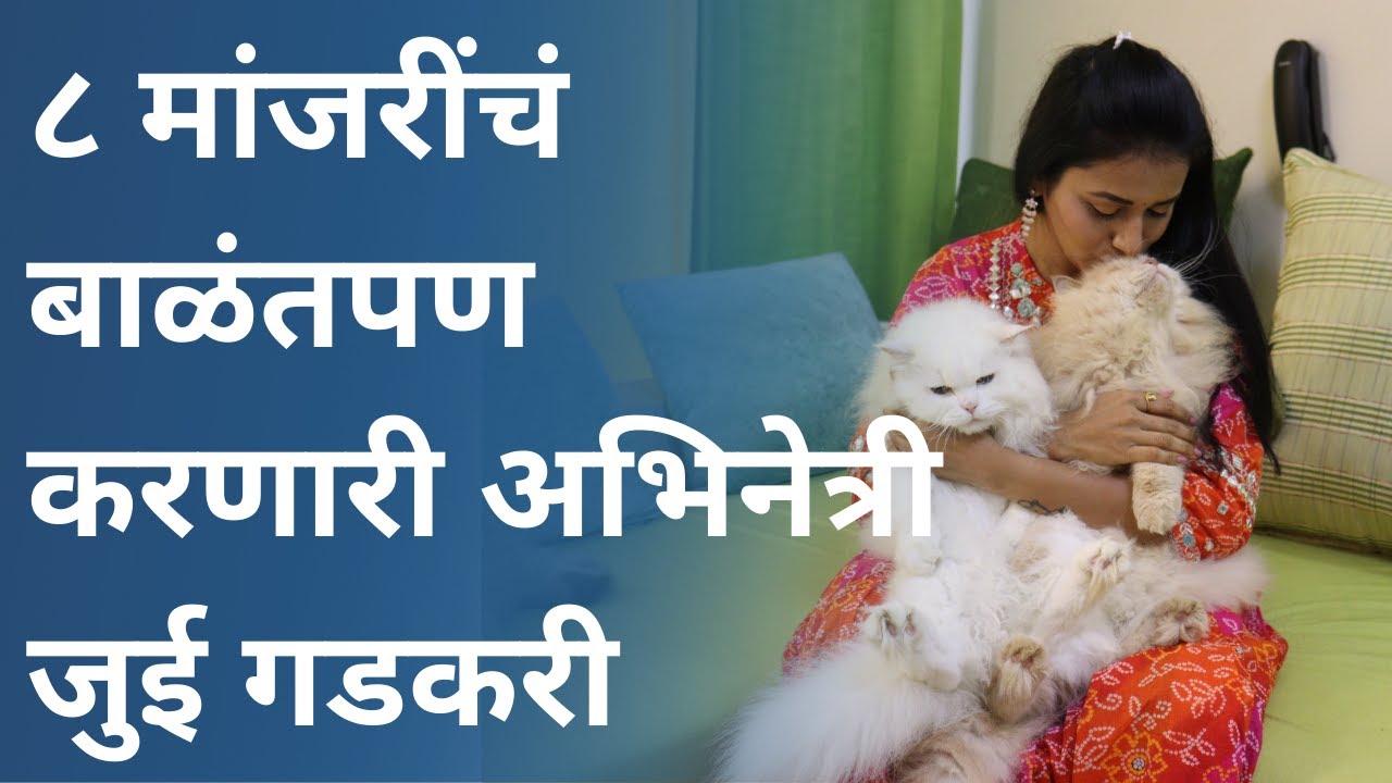 ८ मांजरींचं बाळंतपण करणारी अभिनेत्री जुई गडकरी - दिवाळी विशेष