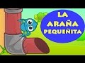🎶 INCY WINCY ARAÑA PEQUEÑITA 🎶 Itsy Bitsy Spider Español | Canciones Infantiles | Dibujos en Español