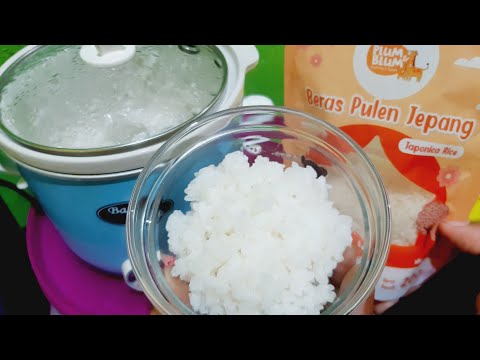 Cara Memasak Nasi Dengan Slow Cooker Baby Safe