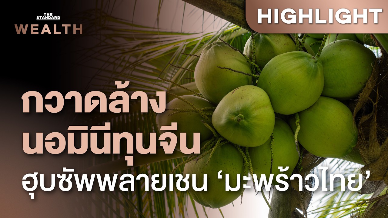 ⁣เปิดศึกกวาดล้างนอมินีทุนจีน หลังวิกฤตมะพร้าวดิ่งเหลือ 3 บาท สะเทือนความมั่นคง | THE STANDARD WEALTH