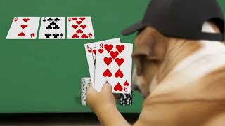 video-placeholder