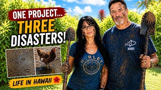 Retired Life in Hawaii VLOG: Beaches, Bananas & Sudden Injuries