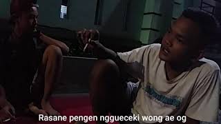 Wes mobal rakaruan parake!