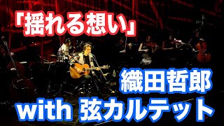 Video thumbnail of "「揺れる想い」ZARD  #織田哲郎Youtube #幻奏夜Ⅵ #撮って出し【オダテツ3分トーキング】"