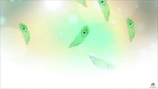 peacock feather background hd | peacock feather background | white background | background screenshot 4