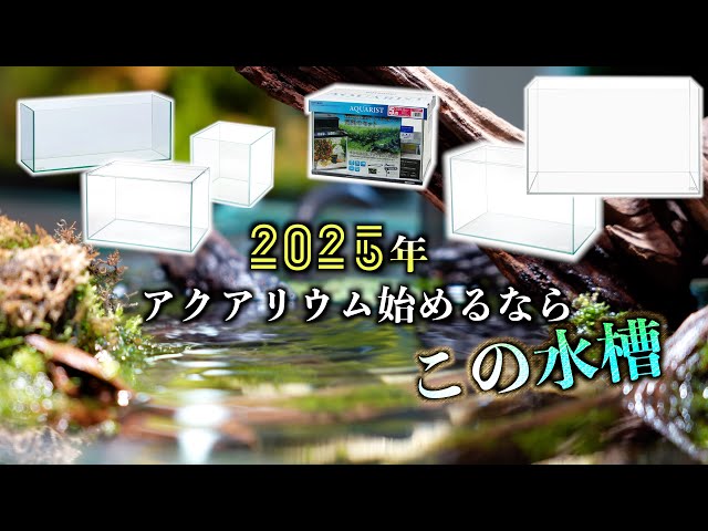 Aquarium Edition] If you're just starting out with an aquarium in