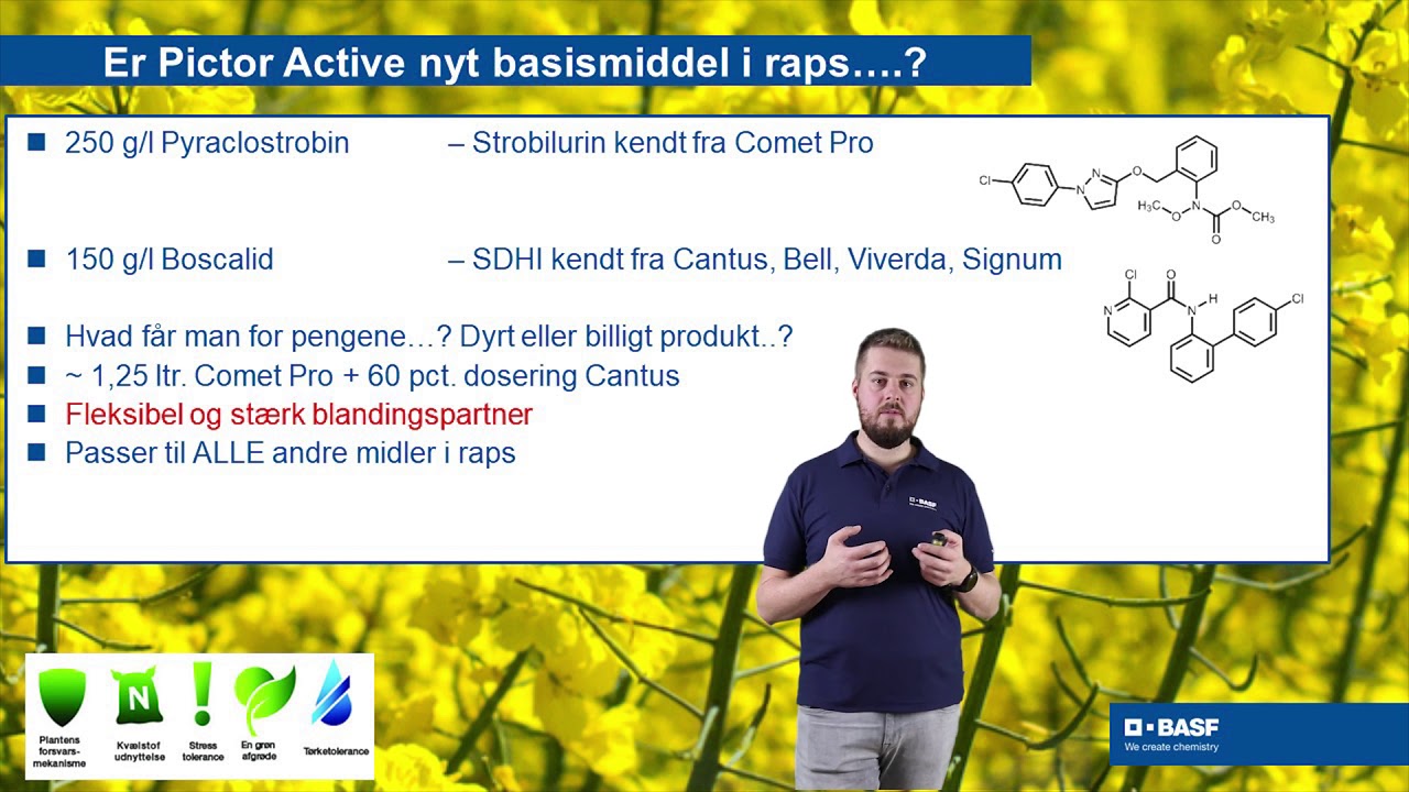 Konsulenttræf 2019   Caryx, Pictor Active