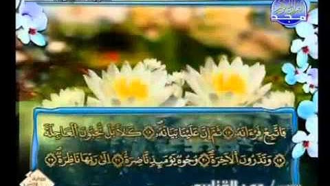 سورة القيامة الشيخ عمر القزابري