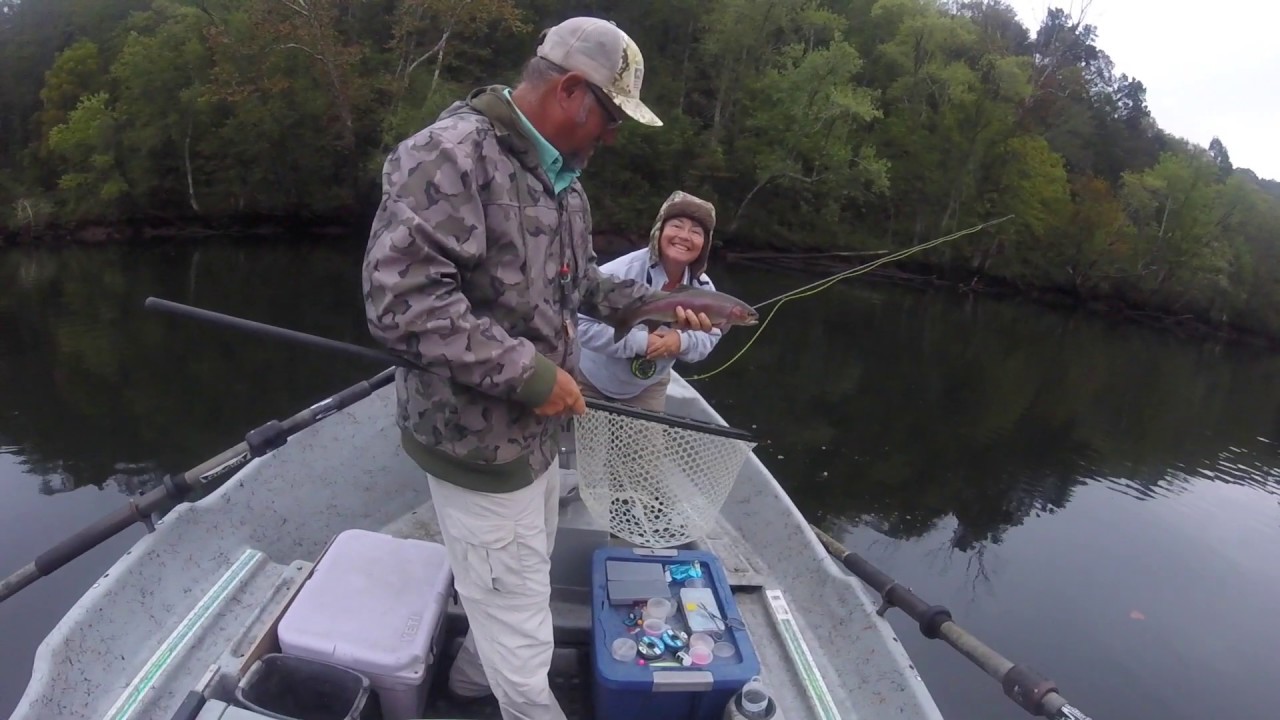 Trout Fishing Clinch YouTube