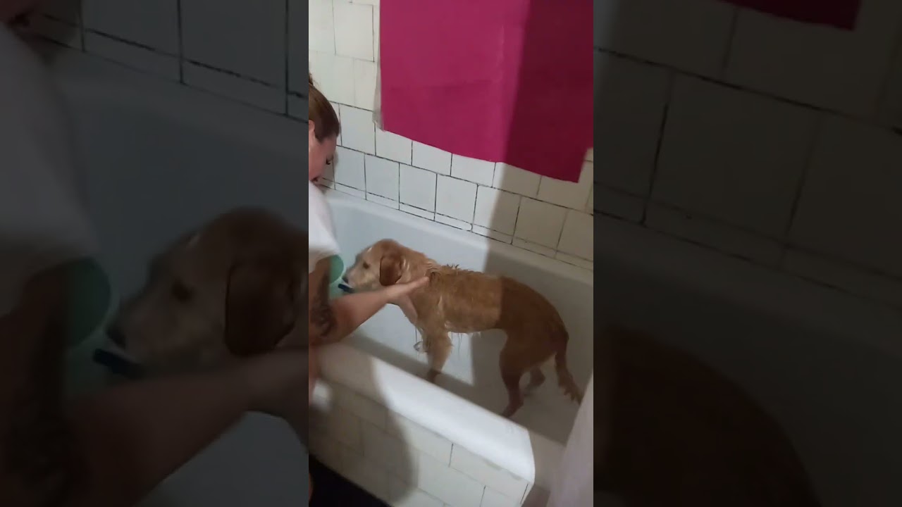 caliop con su baño [tiene unas cosas que me gusta aser con mi mamá  que me divierte]