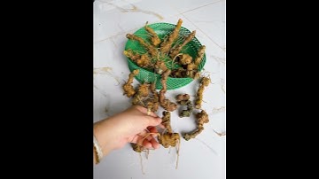 E có 3 Lạng củ sâm rừng vụn ngâm mật ong ngon bổ rẻ mời các bác 0377965679 e Nguyệt nhé