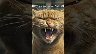 POV: It's Monday. #shorts  #cat #cutecat #catmeme#ai #orangecat