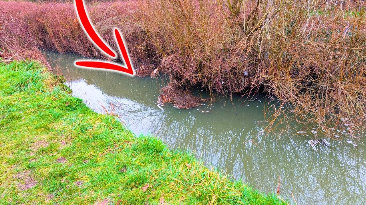 Can I Catch The Big One From The Forgotten Stream?