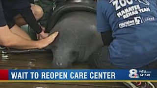 ZooTampa answers questions about manatee care