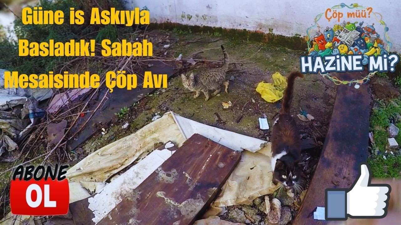 Sabah Mesaisi Başladı | Güne İş Aşkıyla Başladık! Sabah Mesaisinde Çöp Avı
