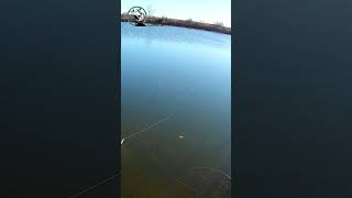 🐠 That Was So Close 🐳 #Fishing #Fish #Nature #Tackle #Summer #Boat #Hook #Bait #Fisherman