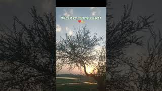 unseen, not unfelt 👀🤍✨ #pov #asthetic #viral #song #rangreza #status #trending