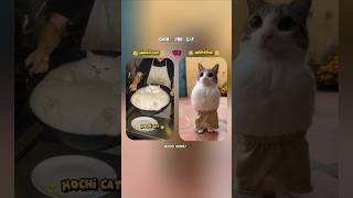 Mochi Cat Vs Meowowl