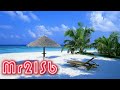 Hawaiian music ∼ Ukulele sound of healing