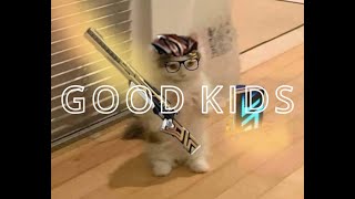 Good Kids? Nope Its Good Cat - Godky Highlight Montage