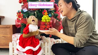 Lyly the monkey reacts emotionally as she helps her mother make a Christmas tree out of fruit.